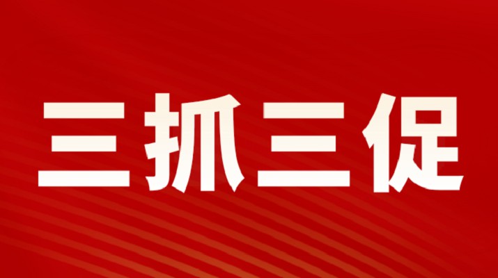 三抓三促进行时丨乐竞（中国）文旅集团召开重点项目调度会