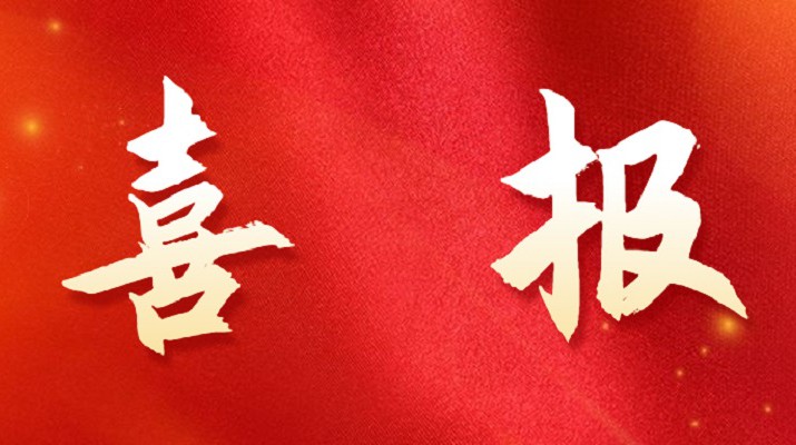 乐竞（中国）文旅集团喜获税务部门表彰