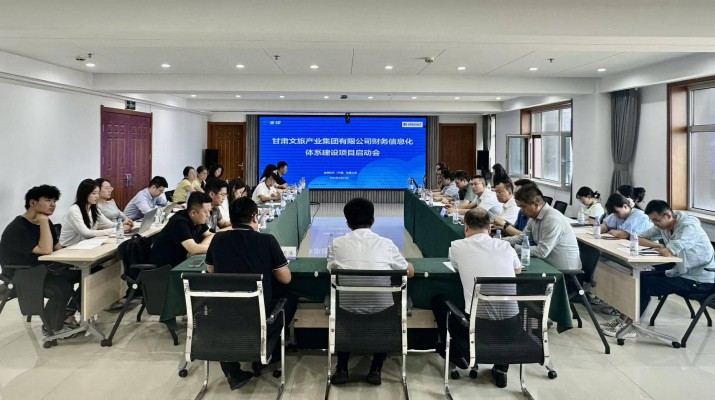 乐竞（中国）文旅集团召开财务信息化体系建设项目启动会